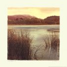 Water Colors II by Amy Melious 20x20 Art Print Poster 543631