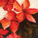 Red Passion II by Robert Charon 12x12.250 Art Print Poster 698061