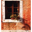 Venice Snapshots V by Danny Head 13x19 Art Print Poster 716271