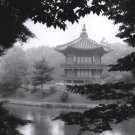 Lotus Pavillion I by Monte Nagler 15.750x11.750 Art Print Poster 524590