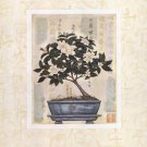 Gardenia Bonsai by Richard Henson 8x10 Art Print Poster 42320