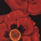 Bella Grande Poppies by Paul Brent 12x36 Art Print Poster 540739