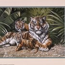 Yellow Tiger With Cubs by Gary Ampel 20x16 Art Print Poster 712978