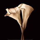 The Embrace by John Rehner 12x12 Art Print Poster 913585
