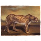 Cheetah by Denise Crawford 20x16 Art Print Poster 755741