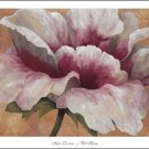 Pink Begonia by Maria Torrontegui 44x35 Art Print Poster 525347
