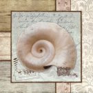Traveling By Sea II by Elizabeth Medley 12x12 Art Print Poster 900272