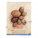 Eggs by Julie Nightingale 22x28 Art Print Poster 755803