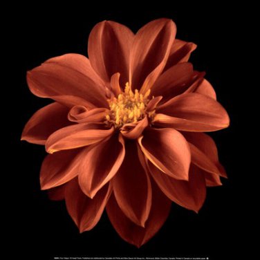 Four Keeps I by Assaf Frank 12x12 Art Print Poster 776732