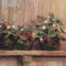 Strawberries in Pots by Carol Rowan 20x8 Art Print Poster 718385