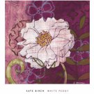 White Peony by Kate Birch 20x22 Art Print Poster 698224