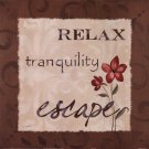 Escape by Carol Robinson 12x12 Art Print Poster 733047