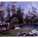Lakeside Gazebo by Diane Romanello 17x13 Art Print Poster 180690