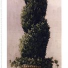 Roman Topiary l by   Welby 5x13 Art Print Poster 732333