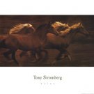 Tribe by Tony Stromberg 26x19 Art Print Poster 485287
