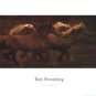 Tribe by Tony Stromberg 26x19 Art Print Poster 485287
