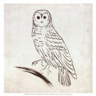 Owl I by Tom Reeves 13x13 Art Print Poster 888006