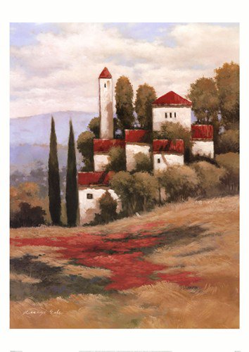 Red Roofs II by Kanayo Ede 19.750x27.5 Art Print Poster 731810