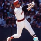 Carlton Fisk -Swinging by  Unknown 8x10 Art Print Poster 643602