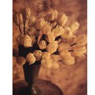 Antique Tulips II by Thea Schrack 15.750x22.250 Art Print Poster 525199