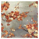 Orange Blossoms II by Asia Jensen 19x19 Art Print Poster 887660