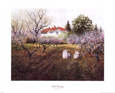 Honey Bees by Ned Young 30x24 Art Print Poster 54841