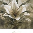 Stargazer by Robert Holman 27x34 Art Print Poster 146004