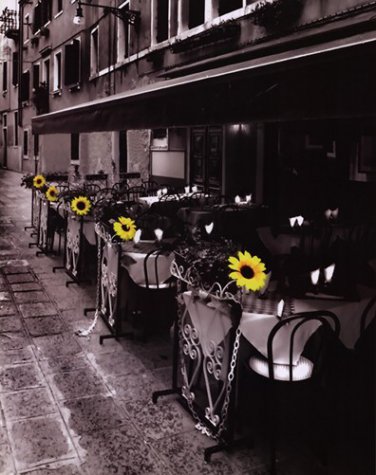 Sunflower Cafe by Stephen Mitchell 22x28 Art Print Poster 658409