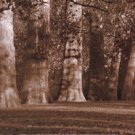 Hyde Park Afternoon I by Boyce Watt 24x12 Art Print Poster 730226