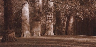 Hyde Park Afternoon I by Boyce Watt 24x12 Art Print Poster 730226