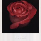 Romance by Harold Feinstein 11x14 Art Print Poster 748279