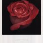Romance by Harold Feinstein 11x14 Art Print Poster 748279