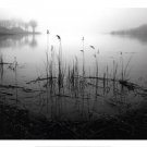 The Quiet Before by Richard Calvo 26x20 Art Print Poster 774599
