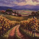 Vineyard Hill I by Sung Kim 28x22 Art Print Poster 507808