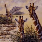 Safari IV by Gary Blackwell 12x12 Art Print Poster 660528