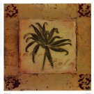 Bamboo Palm by Shari White 13x13 Art Print Poster 730979