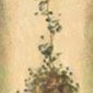 Tall Topiary I by  Unknown 6x24 Art Print Poster 160224