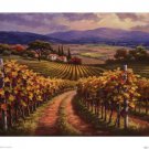Vineyard Hill I by Sung Kim 8x6 Art Print Poster 747823