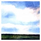 Bright Field III by Ingrid Blixt 19x19 Art Print Poster 864563