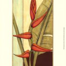 Tropical Flower Panel I by Jennifer Goldberger 13x19 Art Print Poster 467890