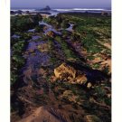 Low Tide by John Gavrilis 24x30 Art Print Poster 67014