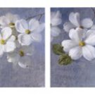Blossom Panel by Danhui Nai 36x12 Art Print Poster 688904