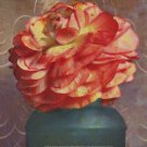 Floral Study IV by Sally Wetherby 12x12 Art Print Poster 748565