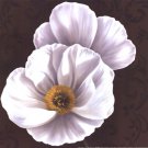 White Poppies II - mini by Jordan Gray 12x12 Art Print Poster 713295