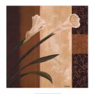 Calla Pair by Emmanuel Cometa 27.5x27.5 Art Print Poster 730181