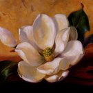 Magnolia Glow II by Fran Di Giacomo 15x12 Art Print Poster 506780