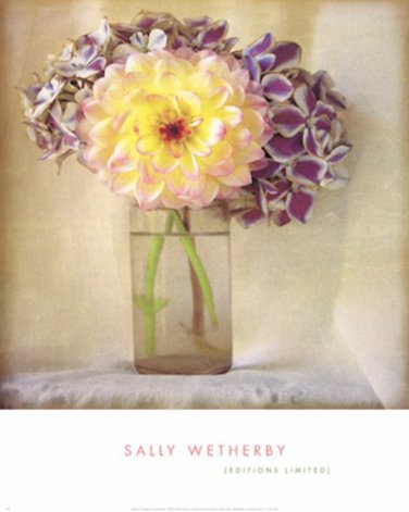 Dahlia With Hydrangeas I by  Unknown 16x20 Art Print Poster 428440