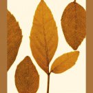 Park by  Gil-Lubin 13x17 Art Print Poster 257768