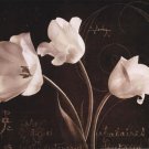 Garden Love Letter II by Amy Melious 14x11 Art Print Poster 868878