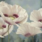 Tasmanian Poppies II by Igor Levashov 36x24 Art Print Poster 826576